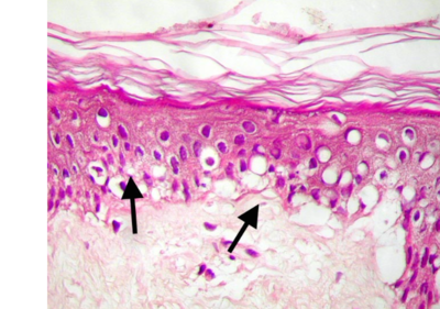 Capture d’écran 2014-08-22 à 18.57.07.png