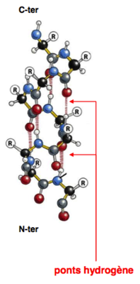 Capture d’écran 2014-08-29 à 10.24.09.png