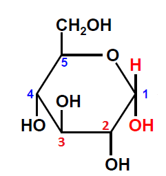 glucopyranose.png
