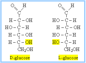 D glucose L glucose.gif