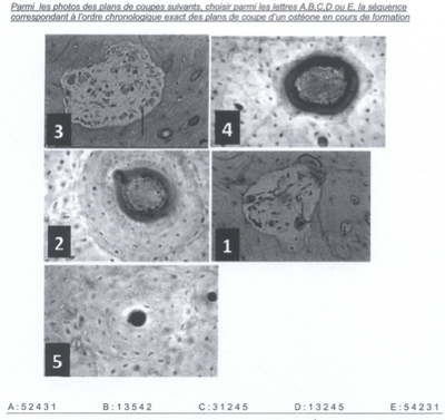 Capture d’écran 2014-09-13 à 10.40.45.png
