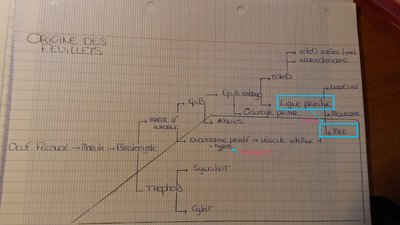 20140917_174117 - copie.jpg