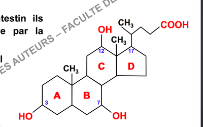 Capture d’écran 2014-09-20 à 11.53.46.png