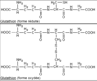 Glutathion.png
