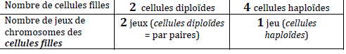 tableau méiose mitose.png