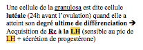 Capture d’écran 2014-10-01 à 22.36.26.png