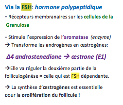 Capture d’écran 2014-10-01 à 22.32.17.png