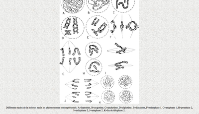 Capture d’écran 2014-10-01 à 22.47.23.png