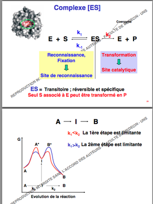 Capture d’écran 2014-10-03 à 14.16.07.png