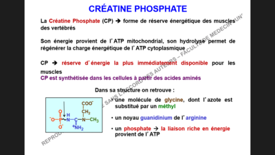 Capture d’écran (6).png