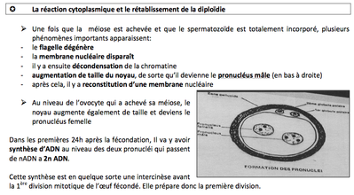 Capture d’écran 2014-10-12 à 13.04.05.png