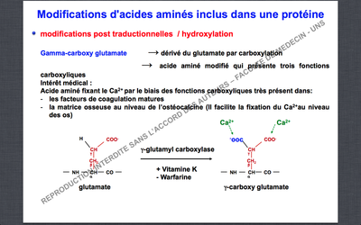 Capture d’écran 2014-10-12 à 14.10.31.png