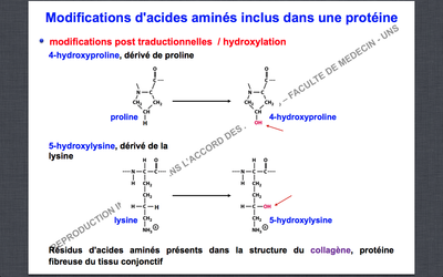 Capture d’écran 2014-10-12 à 14.11.16.png