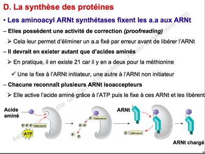 Capture d’écran 2014-10-12 à 16.40.49.png