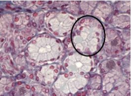 Capture d’écran 2014-10-13 à 10.53.14.png