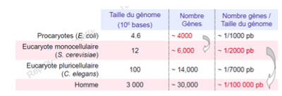 Capture d’écran 2014-10-14 à 17.06.48.png