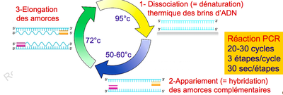 Capture d’écran 2014-10-14 à 18.18.19.png