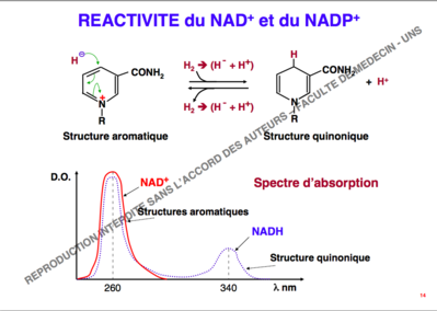 Capture d’écran 2014-10-16 à 17.48.43.png