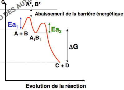 energie d'activation.png