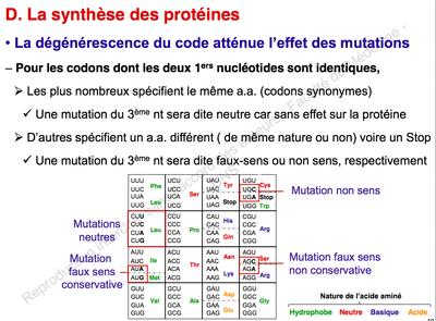 Capture d’écran 2014-10-20 à 19.47.40.png