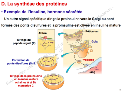 Capture d’écran 2014-10-20 à 21.55.47.png