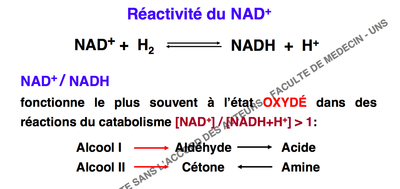 Capture d’écran 2014-10-20 à 22.52.19.png
