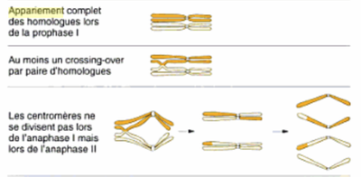 Capture d’écran 2014-10-21 à 16.43.31.png