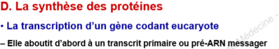 transcrit primaire.PNG