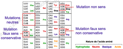 Capture d’écran 2014-10-21 à 18.51.44.png