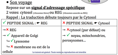 Capture d’écran 2014-10-21 à 19.24.54.png