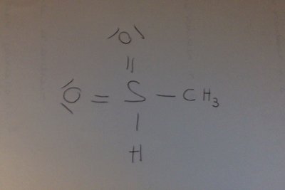 Photo du 21-10-2014 à 21.48.jpg