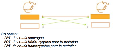 Capture d’écran 2014-10-23 à 13.55.26.png