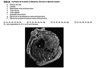 Capture d’écran 2014-10-27 à 11.04.20.png