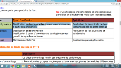 histologie.png