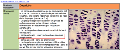 Capture d’écran 2014-10-28 à 23.12.42.png