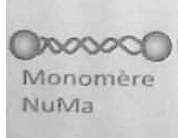 Capture d’écran 2014-10-30 à 16.49.57.png