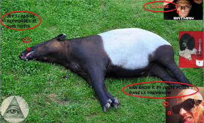 Capture d’écran 2014-10-30 à 22.08.04.png