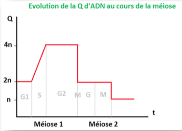 Capture d’écran 2014-10-31 à 10.36.55.png