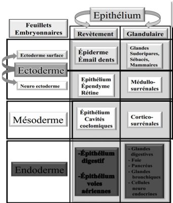 Capture d’écran 2014-11-01 à 18.42.35.png