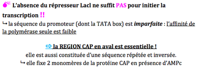 Capture d’écran 2014-11-02 à 17.00.03.png