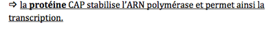 Capture d’écran 2014-11-02 à 17.01.15.png
