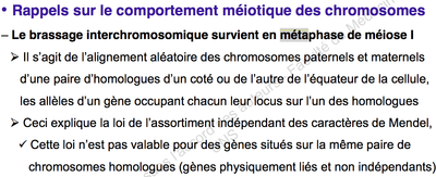 Capture d’écran 2014-11-02 à 17.38.30.png