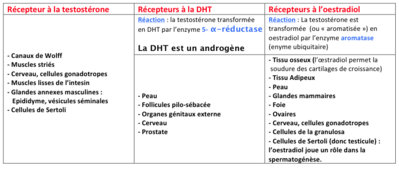Capture d’écran 2014-11-03 à 21.39.40.png