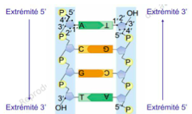 Capture d’écran 2014-11-04 à 18.26.41.png