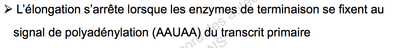 Capture d’écran 2014-11-05 à 11.09.25.png