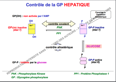 Capture d’écran 2014-11-05 à 11.38.16.png