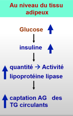 Capture d’écran (19).png
