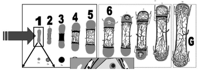 Capture d’écran 2014-11-06 à 08.16.39.png