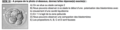 Capture d’écran 2014-11-07 à 08.39.47.png