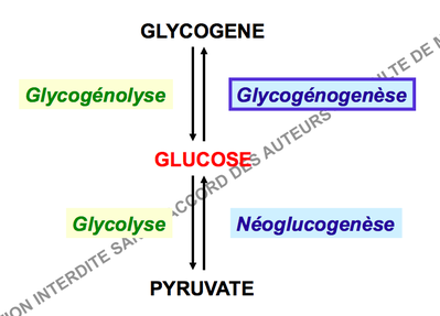 Capture d’écran 2014-11-07 à 16.13.37.png